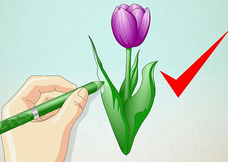 نقاشی گل لاله,طراحی گل لاله,آموزش نقاشی گل لاله