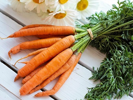هویج سبزی مفید برای یک مادر شیرده است عوارض خوردن سبزی در دوران شیردهی, نقش سبزیجات در دوره شیردهی, خوردن سبزی نعناع در دوران شیردهی