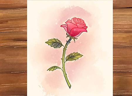 نقاشی گل رز,نقاشی گل,طراحی گل
