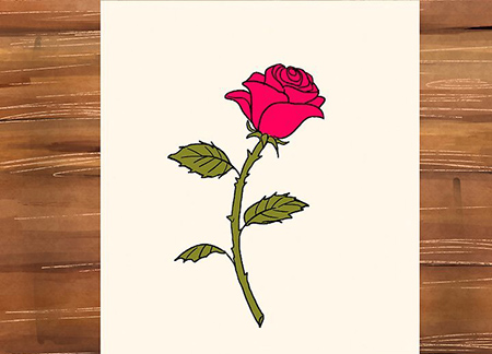 نقاشی گل رز,نقاشی گل,طراحی گل