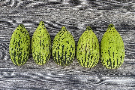 کمبزه چیست ترشی کمبزه, بورانی کمبزه, خواص کمبزه برای معده
