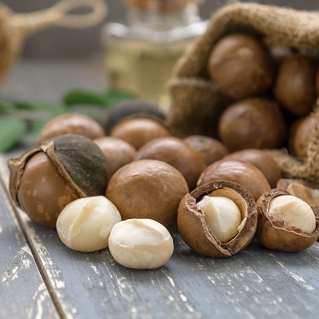 طریقه مصرف گیاه ماکادمیا, ماکادمیا چیست, مغز ماکادمیا