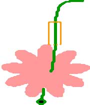 حلقه گل جشن تولد (کاردستی) 