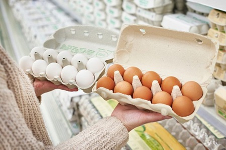 تفاوت تخم مرغ بومی و تخم مرغ ماشینی خواص تخم مرغ بومی, تخم مرغ بومی زن باردار, تخم مرغ بومی