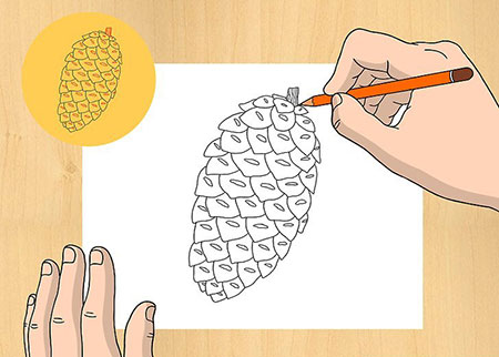 آموزش نقاشی میوه کاج,آموزش نقاشی,نقاشی میوه کاج