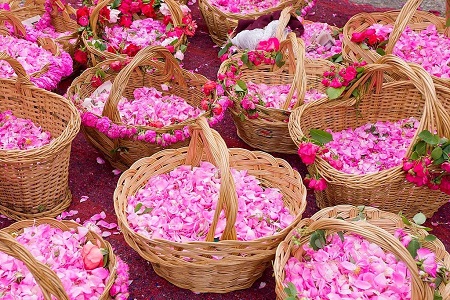 گلاب برای کودکان, مضرات گلاب برای کودکان, خواص گلاب برای کودکان