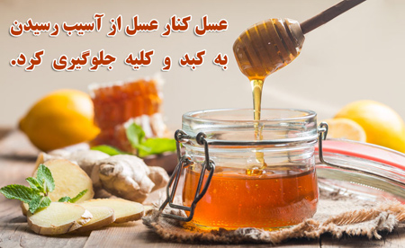 خواص عسل کنار,آشنایی با خواص عسل کنار