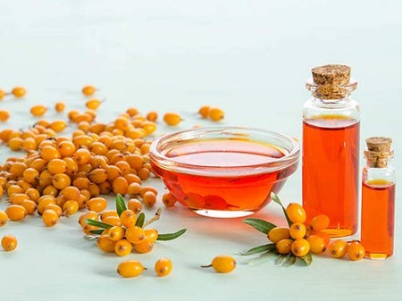 مضرات سنجد تلخ, روغن سنجد تلخ, سنجد تلخ