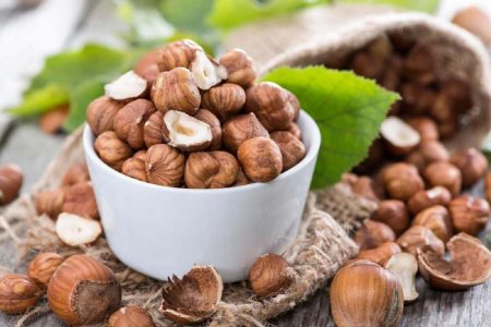 ارزش غذایی و کالری فندق کالری فندق,ارزش غذایی فندق