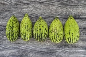 ترشی کمبزه, بورانی کمبزه, خواص کمبزه برای معده