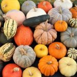 ارزش غذایی کدو حلوایی