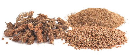 درباره ی خواص سماق قهوه ای