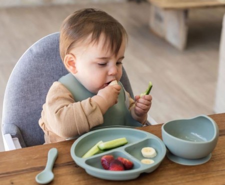 ظروف مناسب برای نگهداری غذای کودک