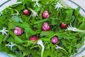 خلاقیت در خانه داری