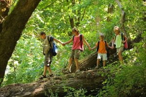 رفتارهای ذاتی کودکان, ویژگی بچه های دشوار, کودکان دیر جوش