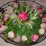 آموزش سبزی آرایی,تزیین سبزی خوردن