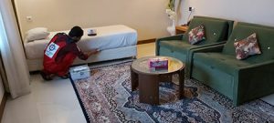 سم ساس,ریشه کن کردن ساس درمنزل,سم پاشی ساس در منزل