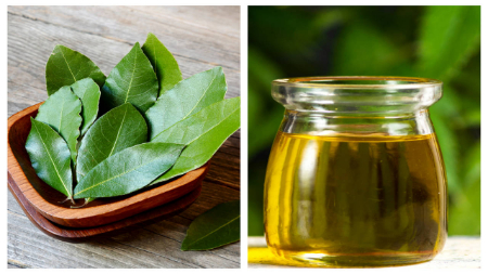 برگ کاری, برگ کاری تازه