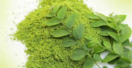 برگ کاری, برگ کاری تازه