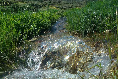 چشمه مولا اردل