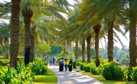تجربه ایمن هیجان در دبی تجربه ایمن هیجان در دبی