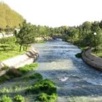 صاف رود یا گپی‌چای