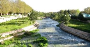 صاف رود یا گپی‌چای