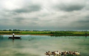 تالاب لنگور مازندران, جاذبههای گردشگری تالاب لنگور