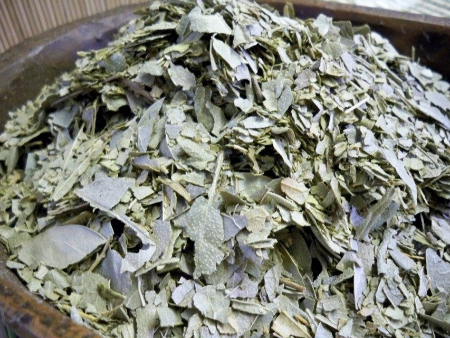 گیاه بولدو, سم‌زدایی کبد با بولدو