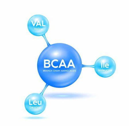 مزایای BCAA مزایای BCAA, مکمل BCAA برای بدنسازی