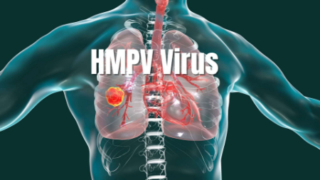 بیشتر افراد یک یا چند بار در طول زندگی به HMPV مبتلا میشوند متاپنوموویروس انسانی (HMPV), علت ابتلا به ویروس HMPV